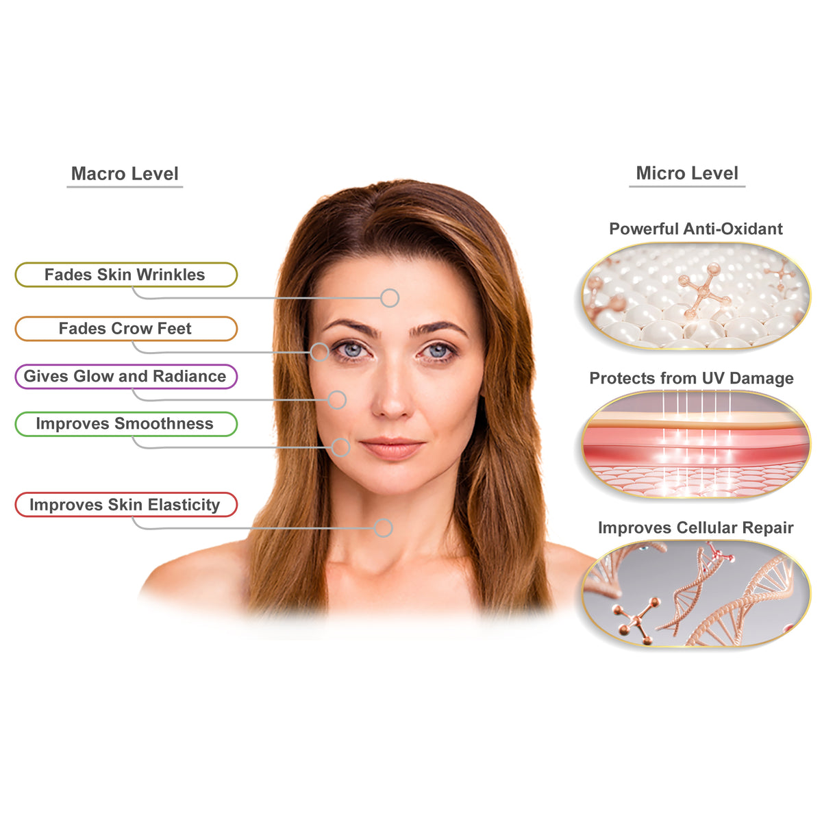Lumineux Élasticité - Ageless Glow Serum