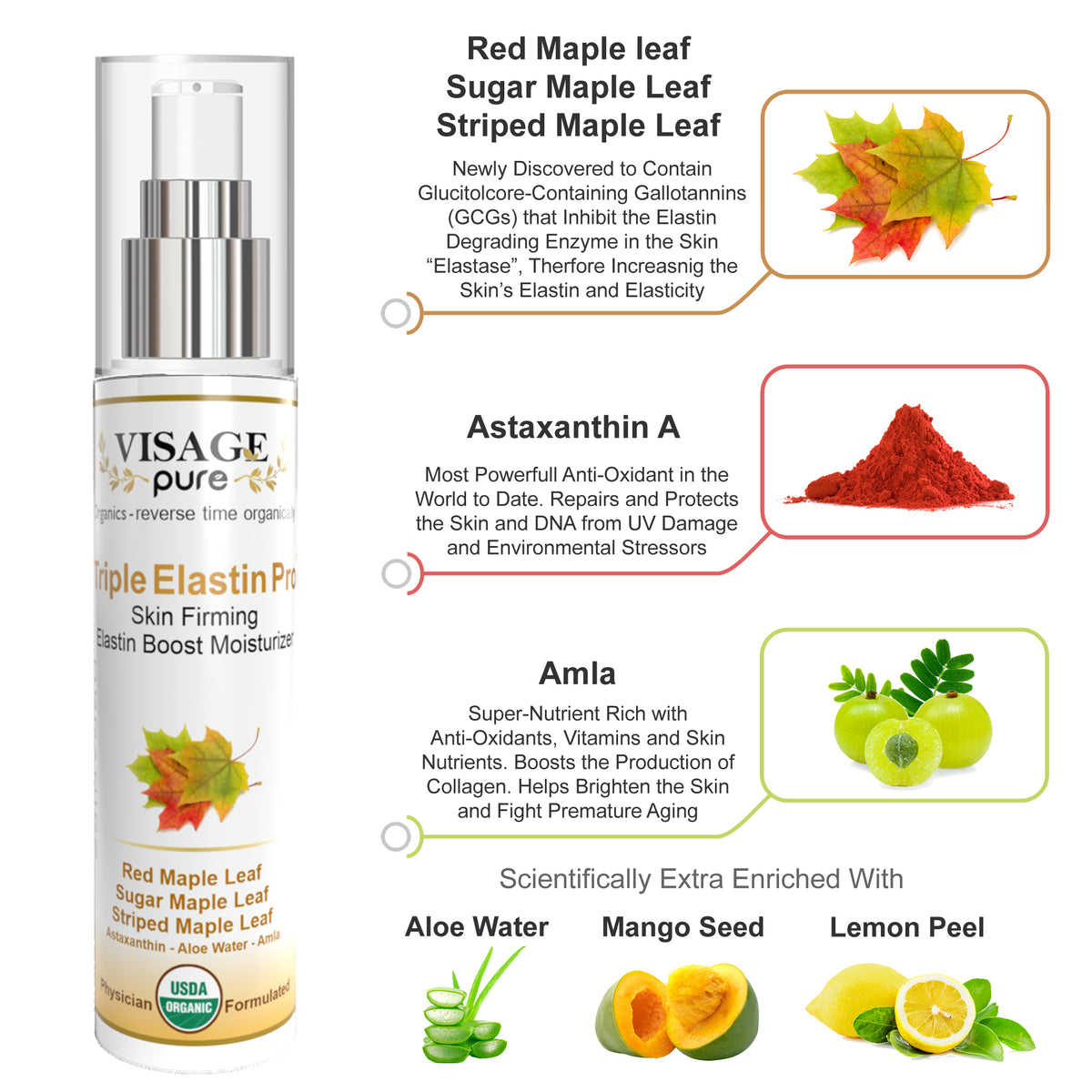 Triple Elastin Pro - Skin Firming - Elastin Boost Moisturizer Cream